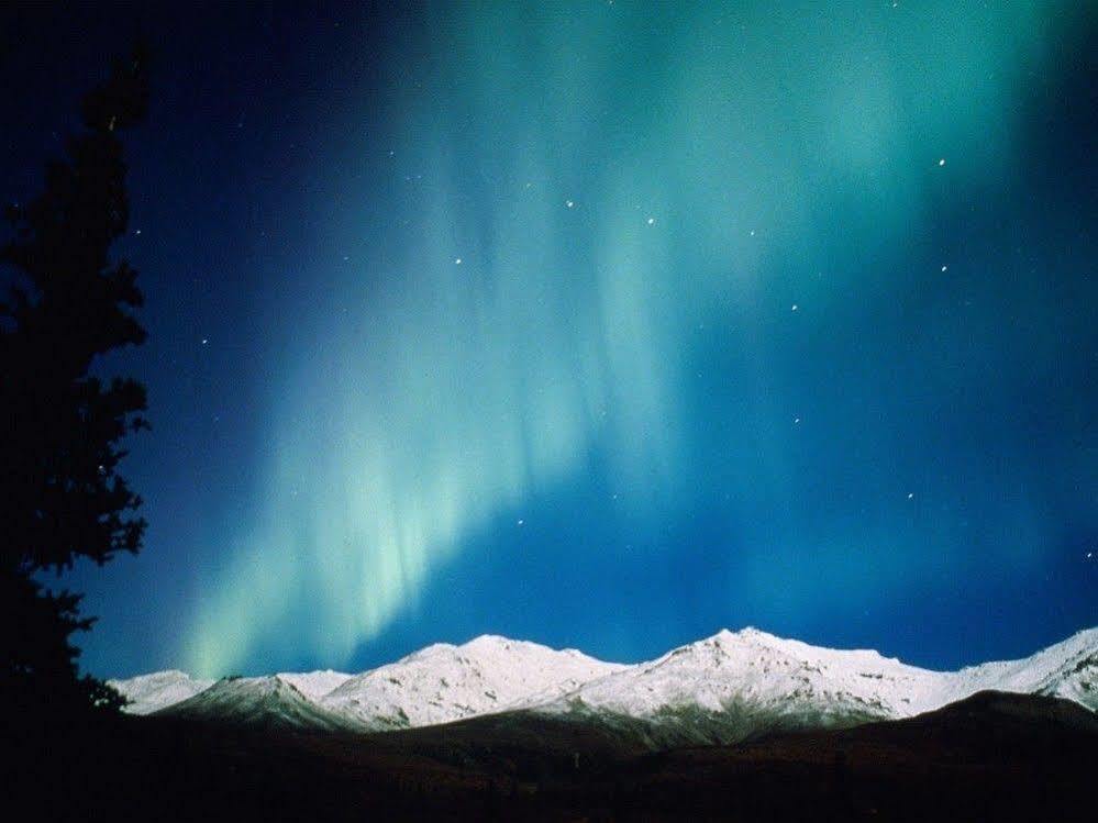 Aurora Denali Lodge Healy Buitenkant foto